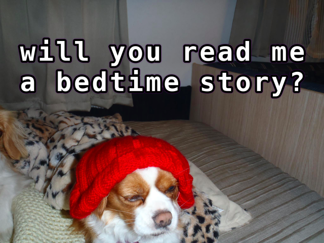 dogs roxy with hat, will you read me a bedtime story.png
