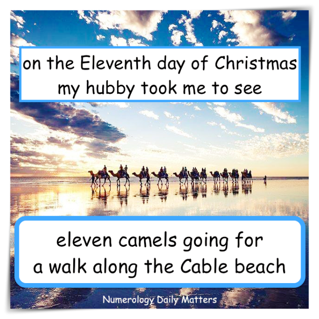christmas eleven camels walking cable beach