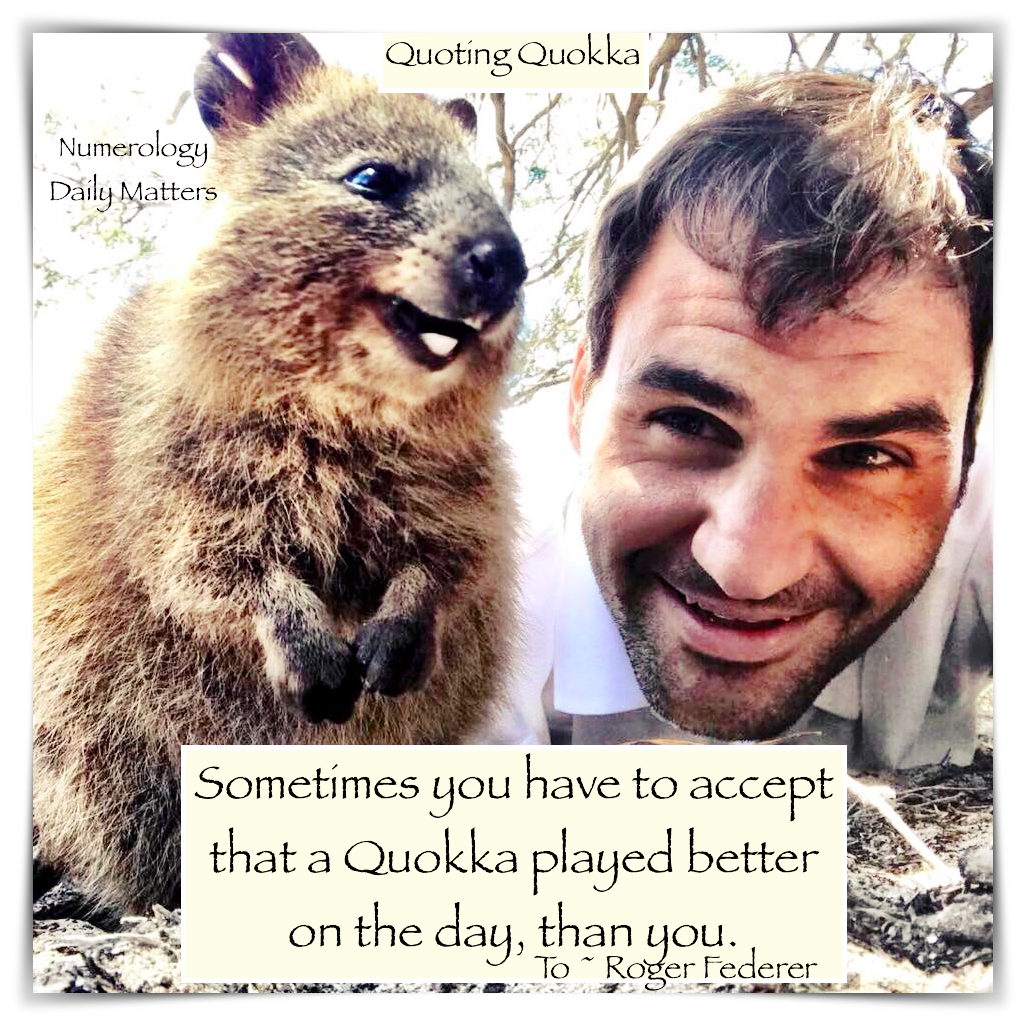 quokka quoting sometimes you have to accept that a quokka played better on the day than you .png