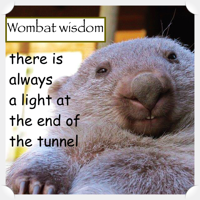wombat  jake says light at end of tunnel.png