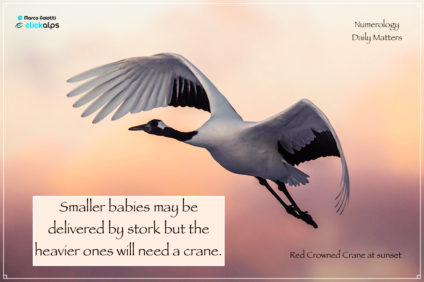 crane 23.5 smaller babies by stork but big ones will need a crane